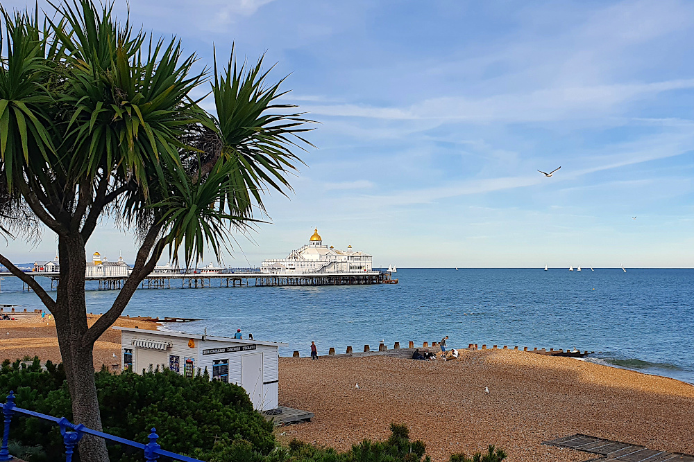 20200729 7 Edit_184735